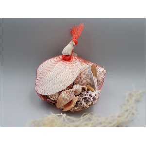 Muschelbeutel Netz groß gefunden, Muscheln, Ozean, souvenir