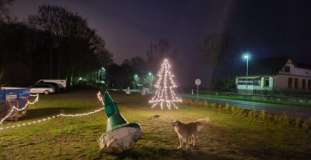 Eine Nachtszene mit einem mit weißen Lichtern geschmückten Weihnachtsbaum, der auf einer Rasenfläche in der Nähe einer Straße steht. Ein Hund steht in der Nähe und wedelt mit dem Schwanz. Im Hintergrund sind eine grüne Boje und einige Autos zu sehen, und auf der rechten Seite des Bildes ist ein Gebäude zu sehen, in das Gäste jeden Moment kommen könnten.