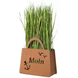 Gartendeko Pflanztasche ‘Moin’ – Rost Deko Möwen