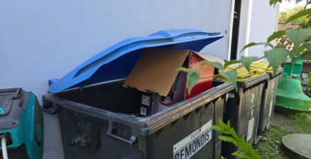 Eine offene Mülltonne mit blauem Deckel vor einem Gebäude ist mit verschiedenen Gegenständen gefüllt, darunter auch einem Karton. Weitere Mülltonnen sind daneben, in der Nähe des Parkplatzes, aufgereiht. Im Hintergrund ist teilweise ein grüner Plastikbehälter zu sehen, und im Vordergrund ist etwas Laub zu sehen.