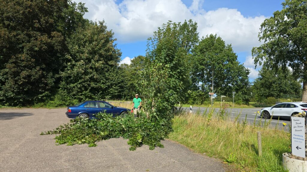 Ein Mann in einem grünen Hemd steht neben einem blauen geparkten Auto auf einem Parkplatz, neben einem umgestürzten Ast. Die Umgebung ist von grünen Bäumen und Grasflächen geprägt, und auf einer angrenzenden Straße fährt ein weißes Auto vorbei. Ein Schild und der bewölkte Himmel werfen Schatten auf den Busch, der nicht sein darf.