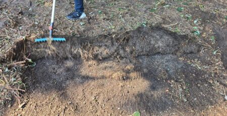 Person bearbeitet den Boden im Garten mit einem Rechen, um Erde zu lockern und Unkraut zu entfernen. Gartenpflege und Landschaftsgestaltung.