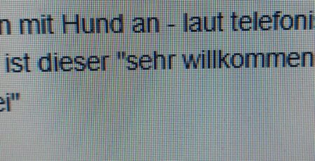 Information über Reisen mit Hund, telefonische Auskunft über Willkommens- und Kostenfrei-Details für Hundebesitzer.