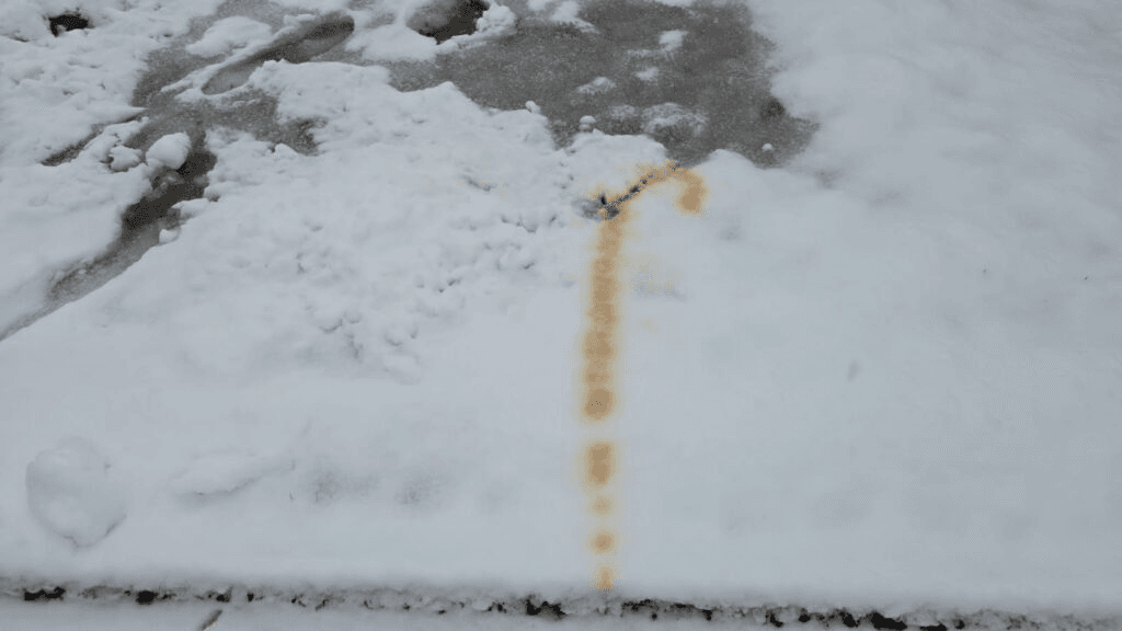 Da hat ein Hund einen Gehstock gepisst!