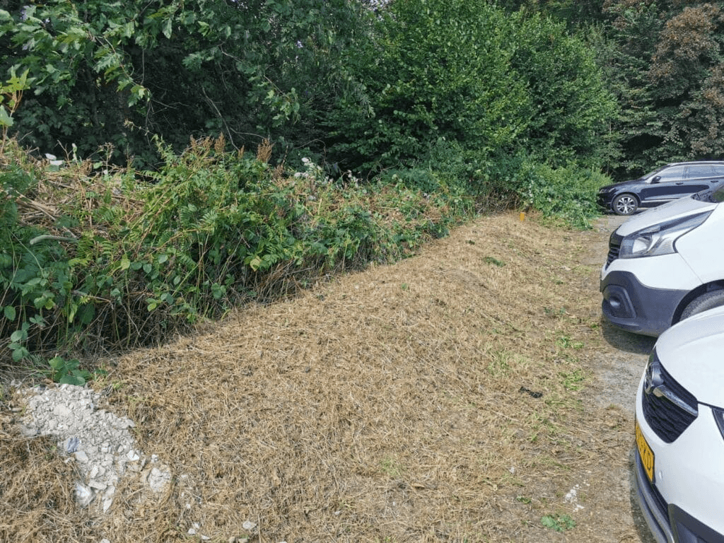 Unser Parkplatz ist reine Natur