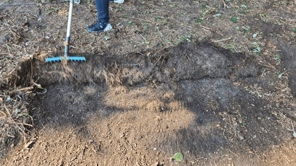 Rollrasen ist out, wir haben Rollunkraut