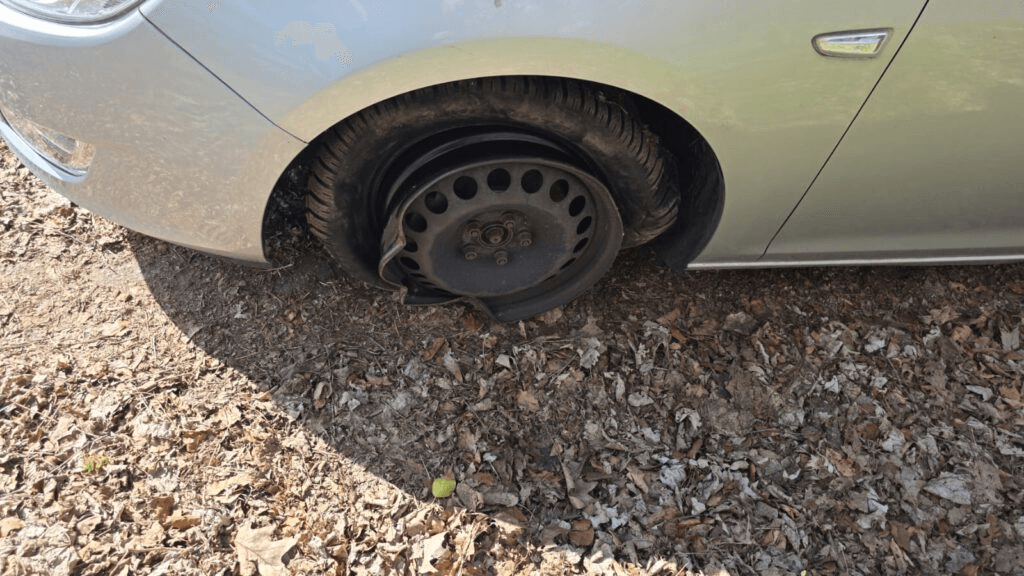 Wie freundlich möchtest Du sein? Ja!