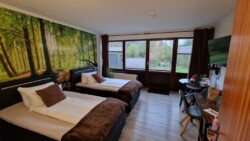 Ein gemütliches Hotelzimmer in Flensburg mit zwei Einzelbetten mit weißer Bettwäsche und braunen Decken. Die Rückwand ist mit einem Waldgemälde dekoriert. Ein großes Fenster und eine Tür führen zu einem Balkon mit malerischer Aussicht. In der Ecke befinden sich ein Fernseher und ein Schreibtisch, was es zu einem echten Geheimtipp für Reisende macht.