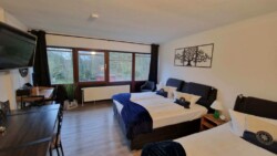 Ein geräumiges Hotelzimmer in Flensburg verfügt über zwei große Betten, jedes mit marineblauen Akzentkissen und Überwürfen, einen kleinen Schreibtisch mit Stuhl, einen Flachbildfernseher und ein großes Fenster mit Blick auf einen grünen Außenbereich. Die Wand über den Betten ist mit einem schwarzen Baumsilhouetten-Kunstwerk geschmückt – ein echter Geheimtipp.