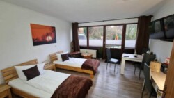 Ein helles, gemütliches Zimmer mit zwei Einzelbetten, jeweils mit weißer Bettwäsche und braunen Decken. Das Zimmer hat ein großes Fenster mit braunen Vorhängen, einen kleinen Esstisch mit vier Stühlen, einen an der Wand montierten Fernseher und ein Naturgemälde an der Wand. Draußen gibt es einen Blick auf Bäume – wahrlich ein Geheimtipp in Flensburg.